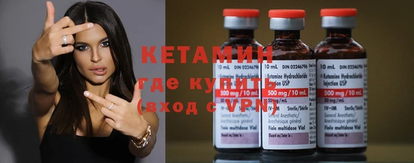 прущие грибы Белокуриха