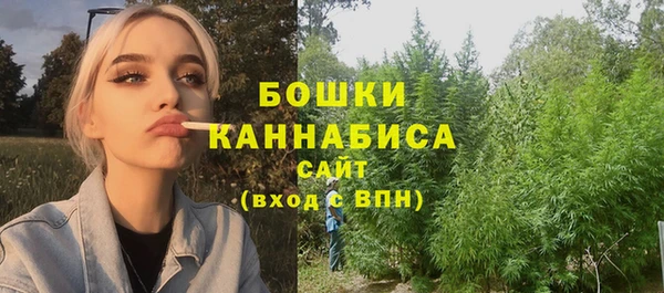 сатива Балахна