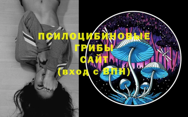 спиды Баксан