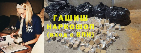 прущие грибы Белокуриха