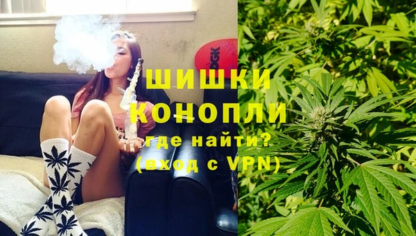 сатива Балахна
