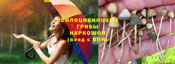 спиды Баксан