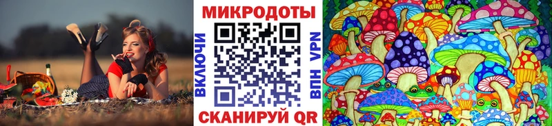 Псилоцибиновые грибы Magic Shrooms  Куса 